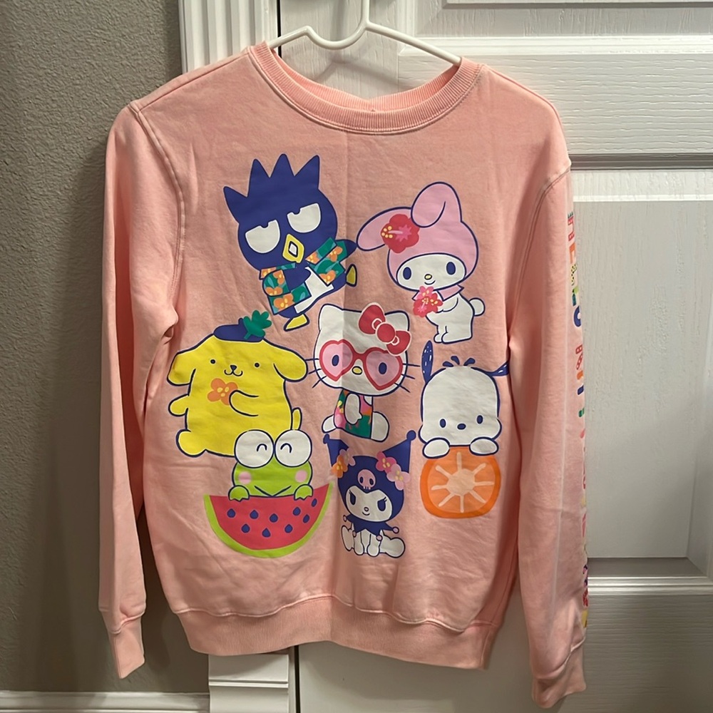 Hello Kitty Pink Sweatshirt with Colorful Characters